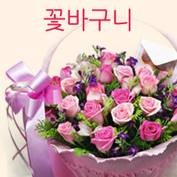 ������ ī�װ��� #2