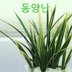 ������ ī�װ��� #3