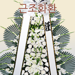 ������ ī�װ��� #6