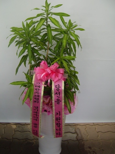 100,000 �뿱ȫ��