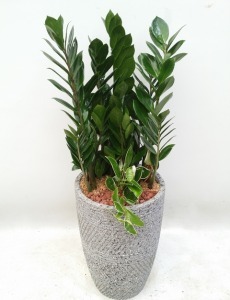 40,000 ������