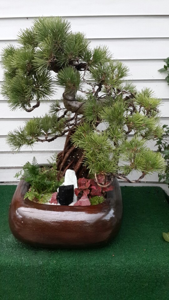 250,000 ����[�ؼ�]